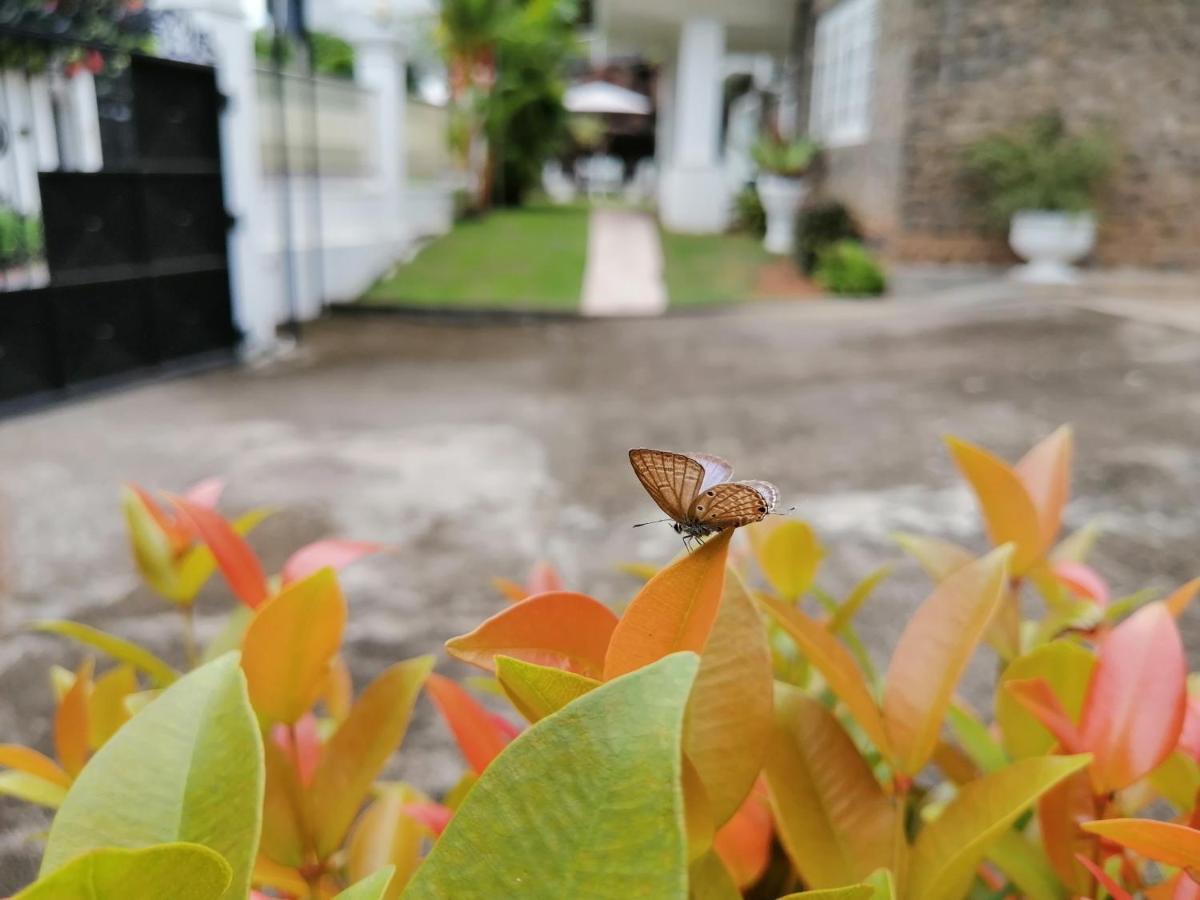 Anna Shanthi Villa Kandy Kültér fotó